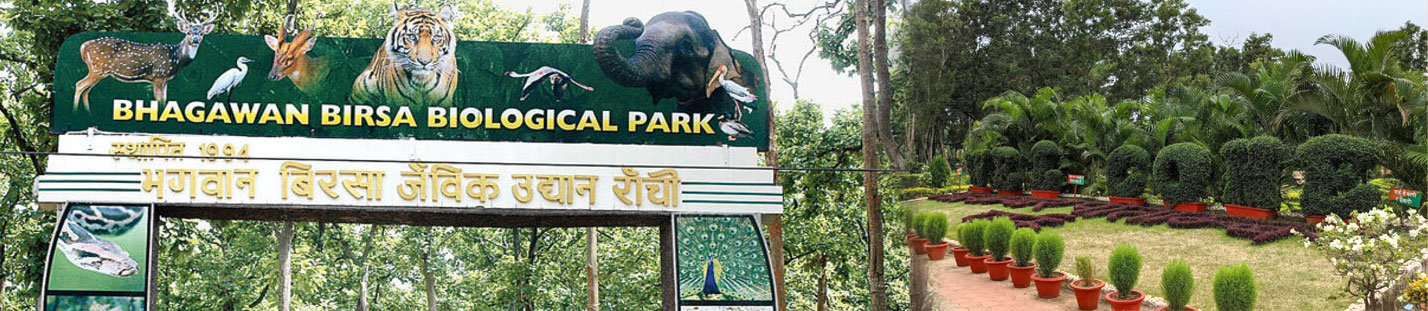 ISMM 2027, 16th National Biennial Conference of the Indian Society of Medical Mycologist, RIMS, Ranchi, Jharkhand, India