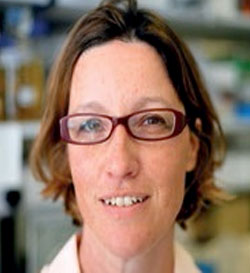 Dr. Tihana Bicanic